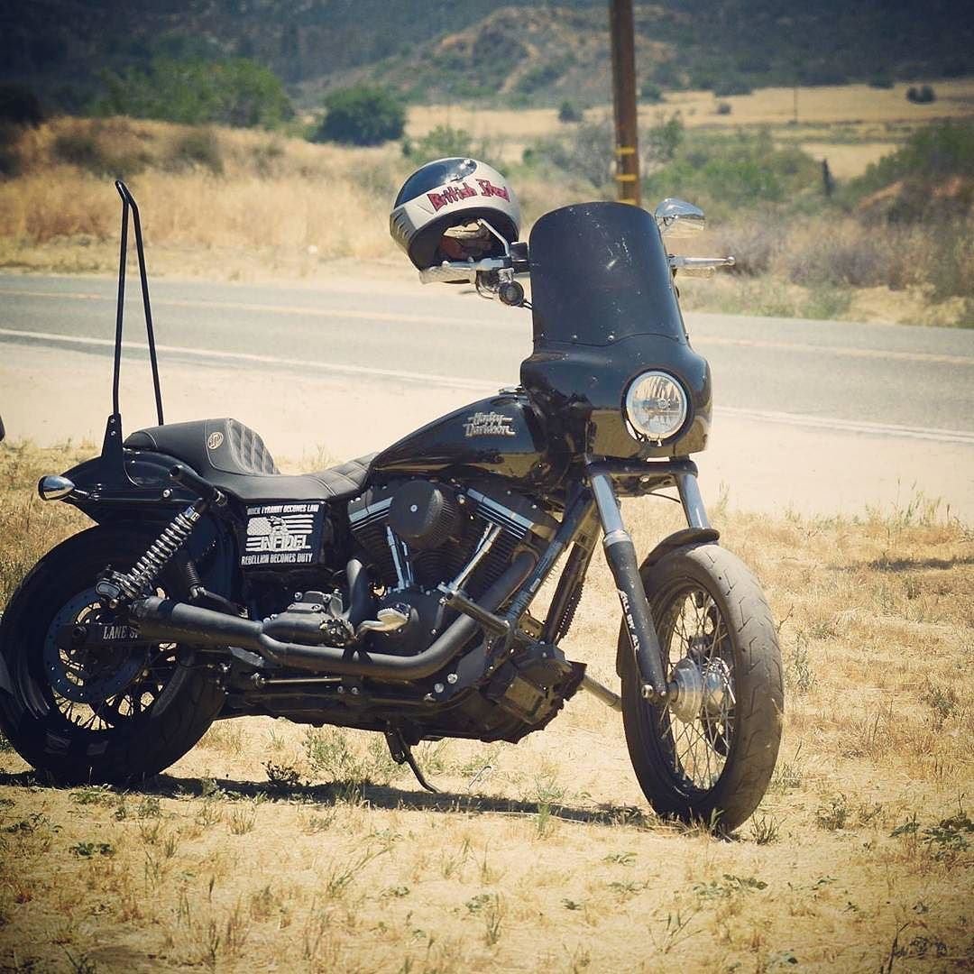 Sissy Bar Harley Davidson Dyna