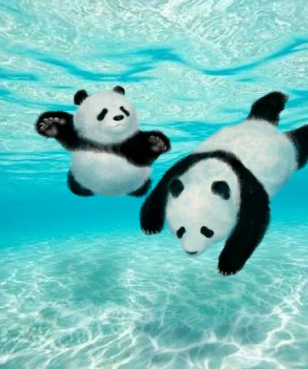 Водяная Панда