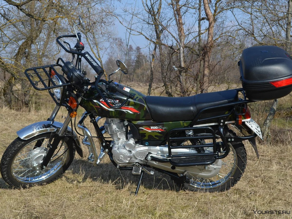 Стелс Десна 200