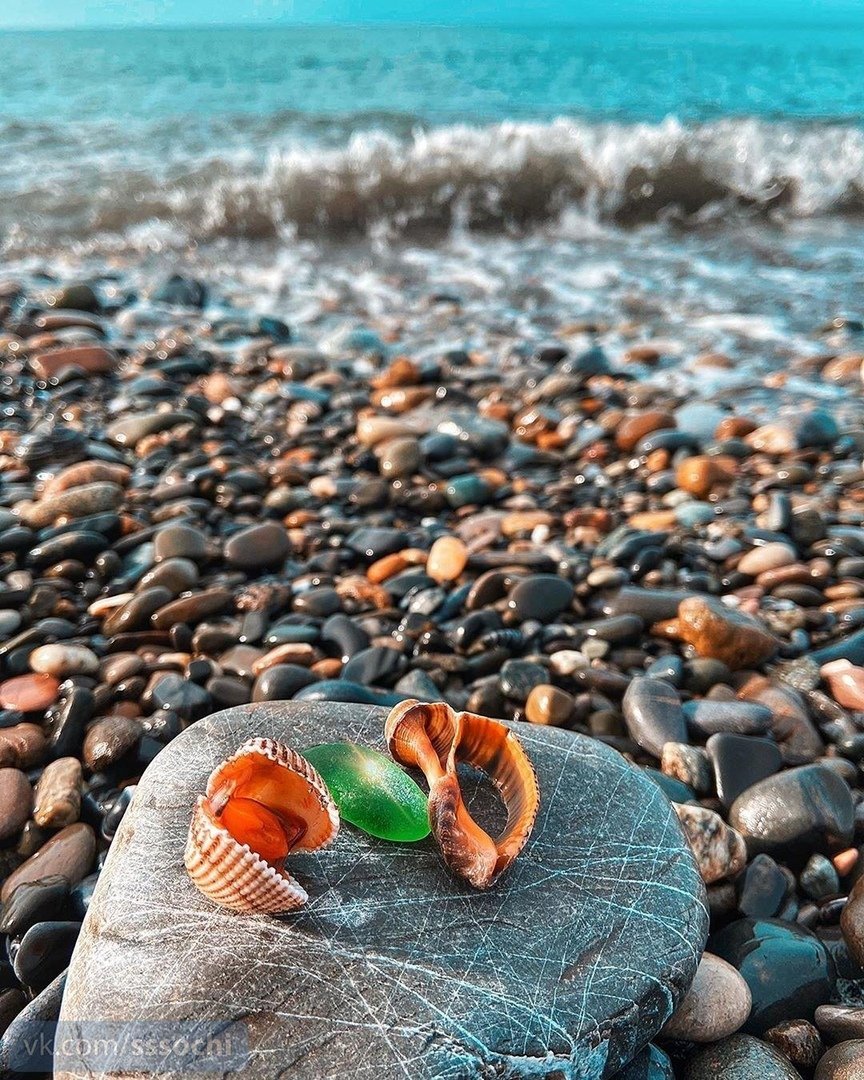 Пляжная галька