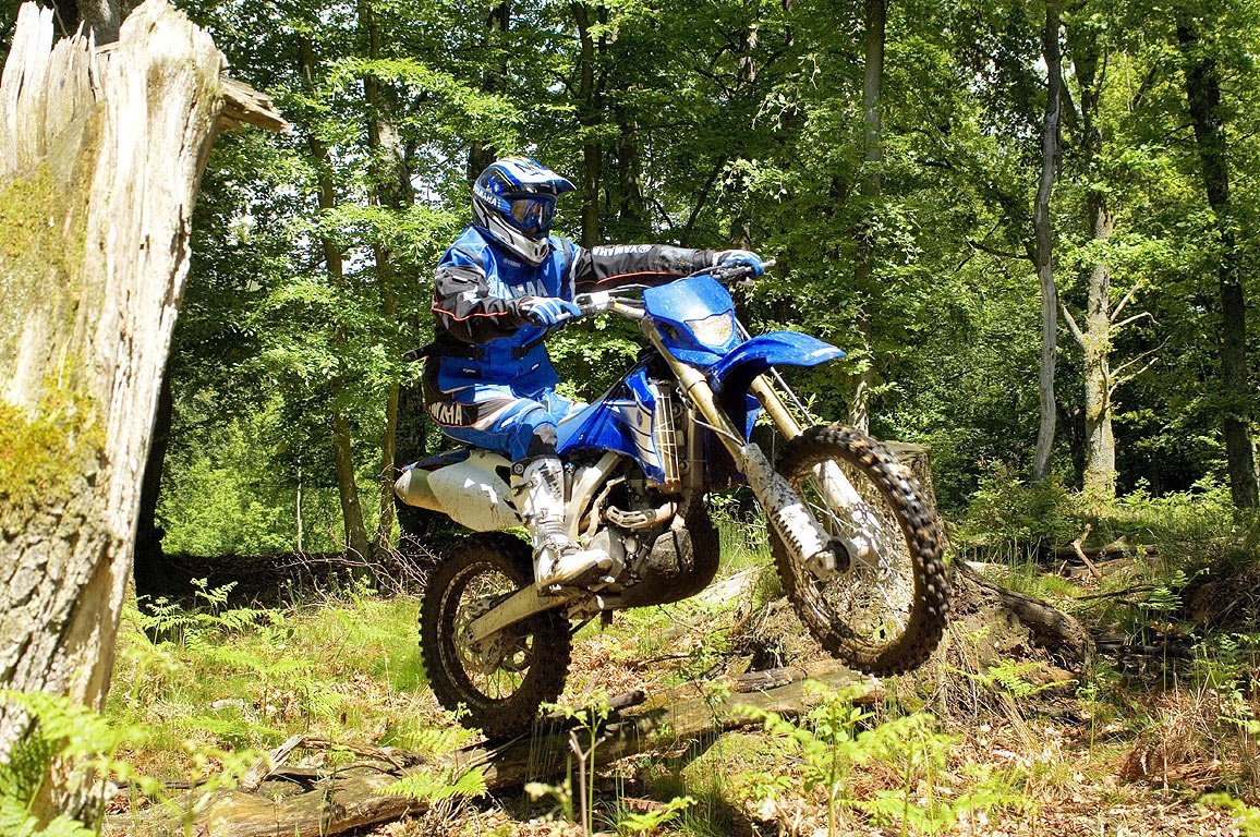 Yamaha wr450f на фоне леса