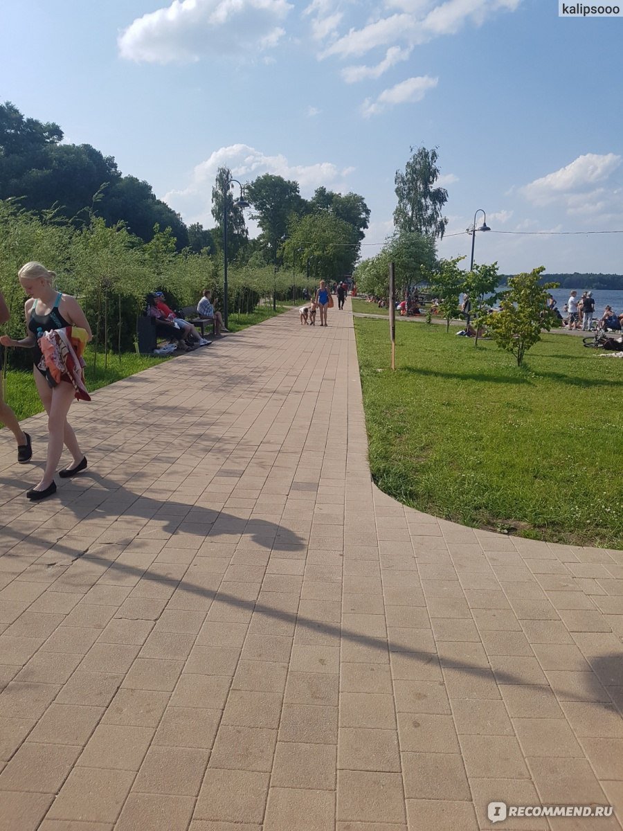 Озеро Гущино Солнечногорск