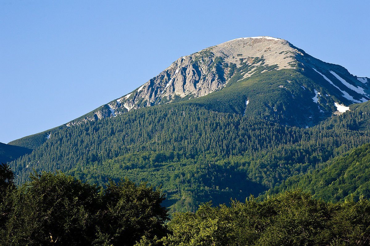 Гора Хербис