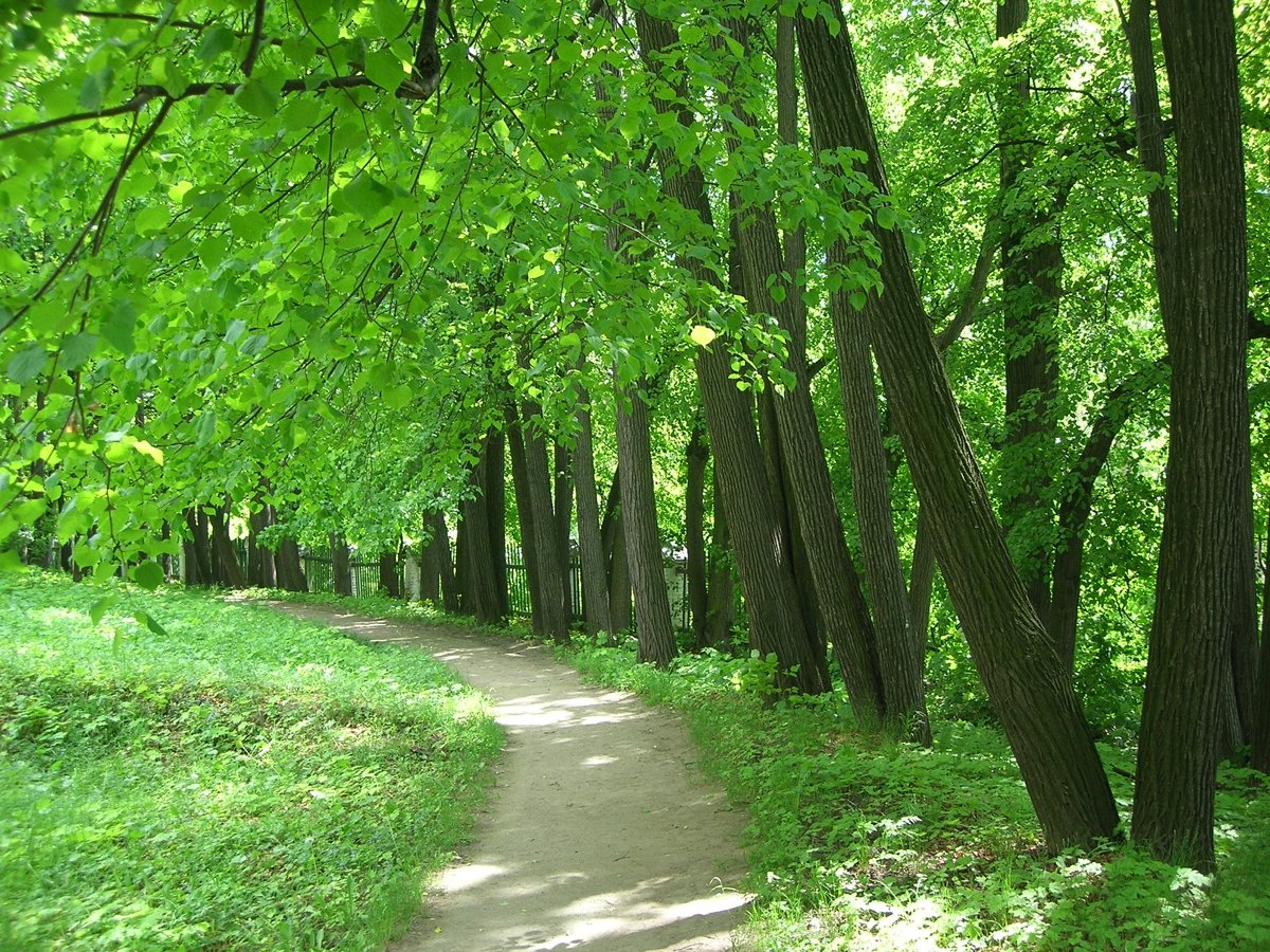 Карабиха верхний парк