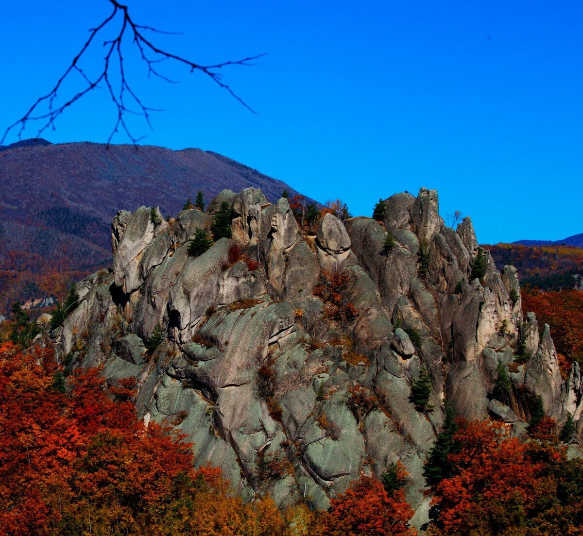 Гора Сихотэ Алинь гора