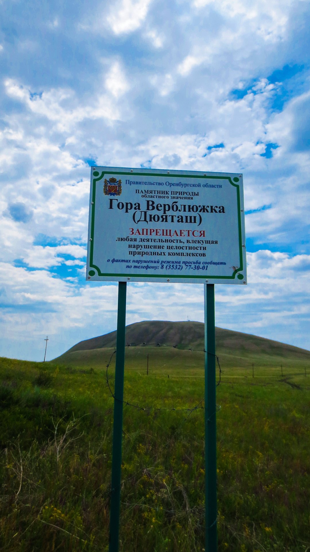 Гора Верблюжка Беляевский район