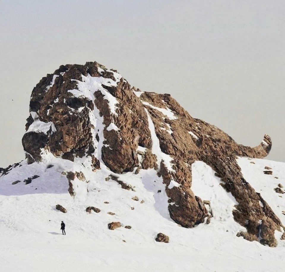 Гора в форме собаки