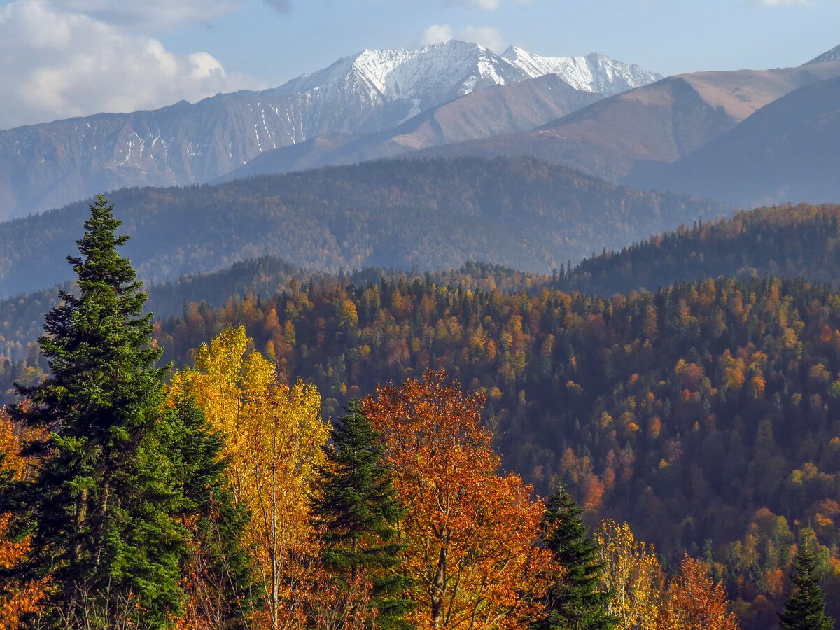 Плато Лаго-Наки Адыгея осень