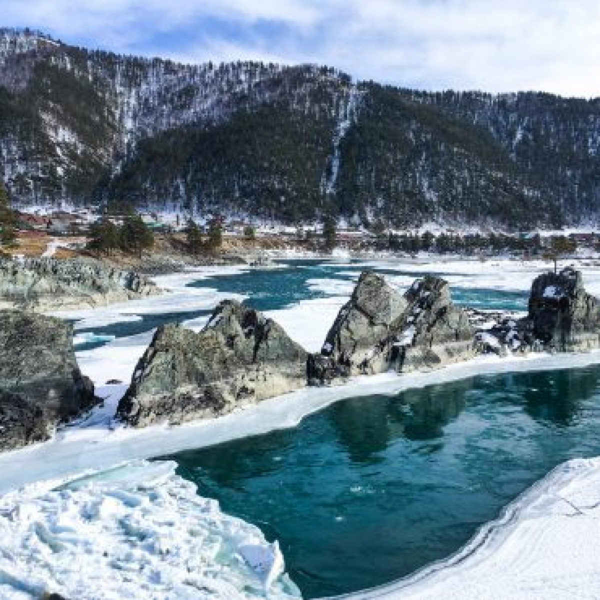 Зубы дракона горный Алтай