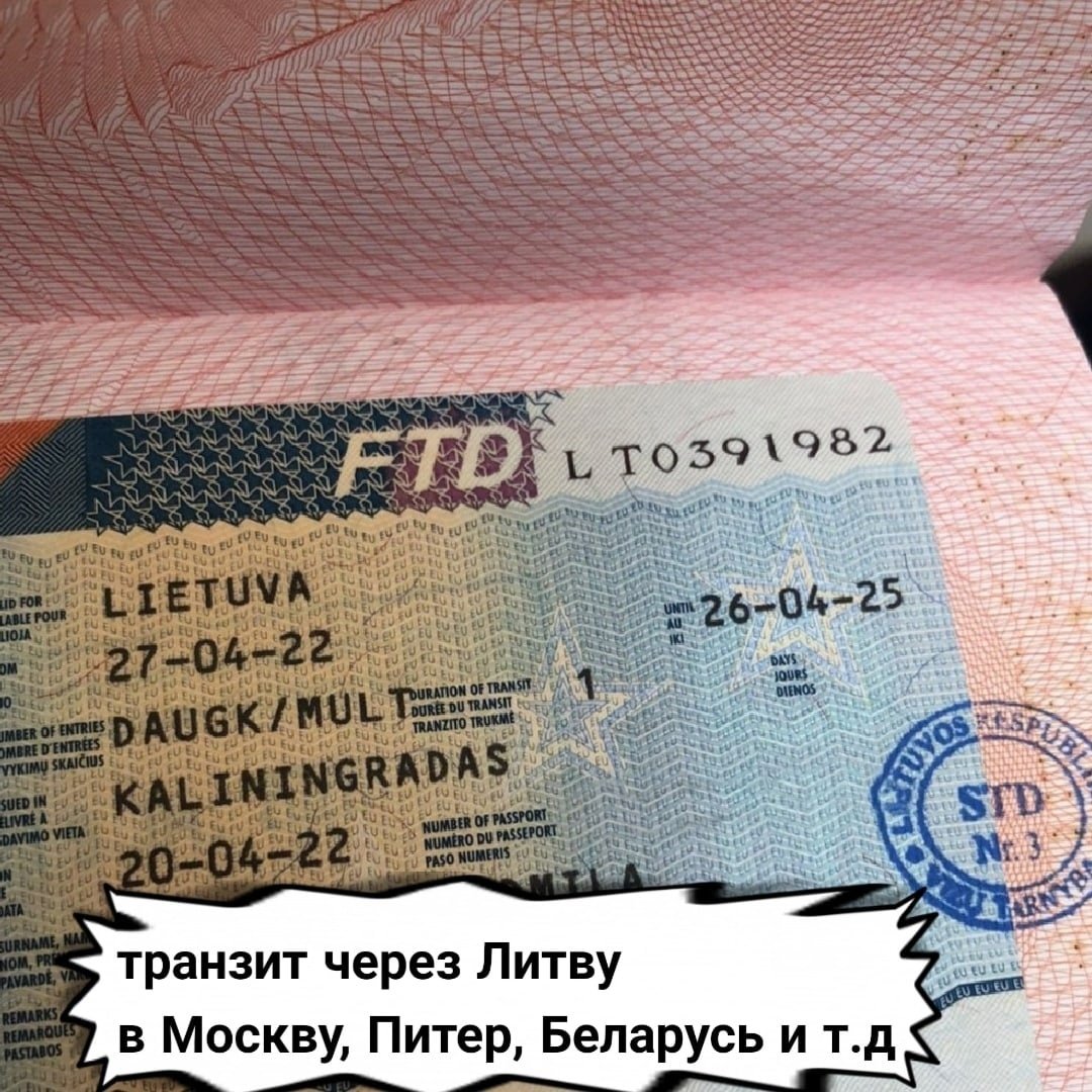 Въездная виза