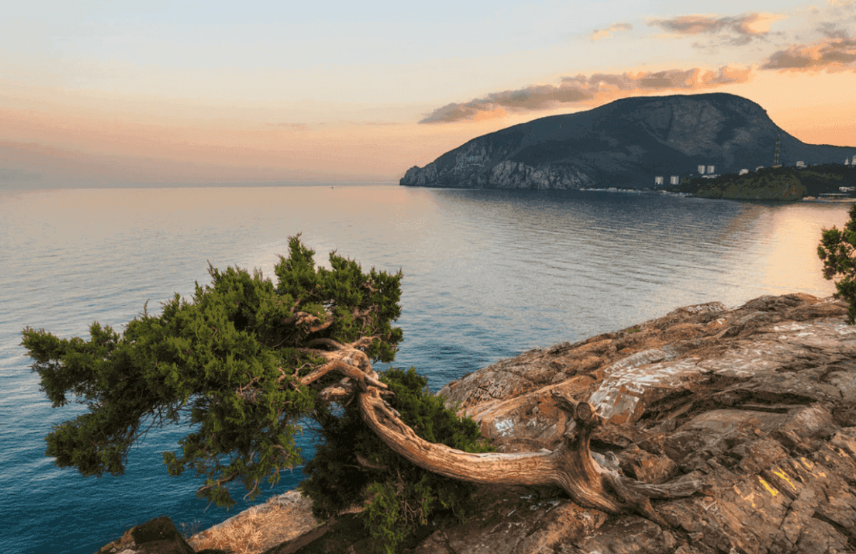 Мыс Плака Крым Алушта