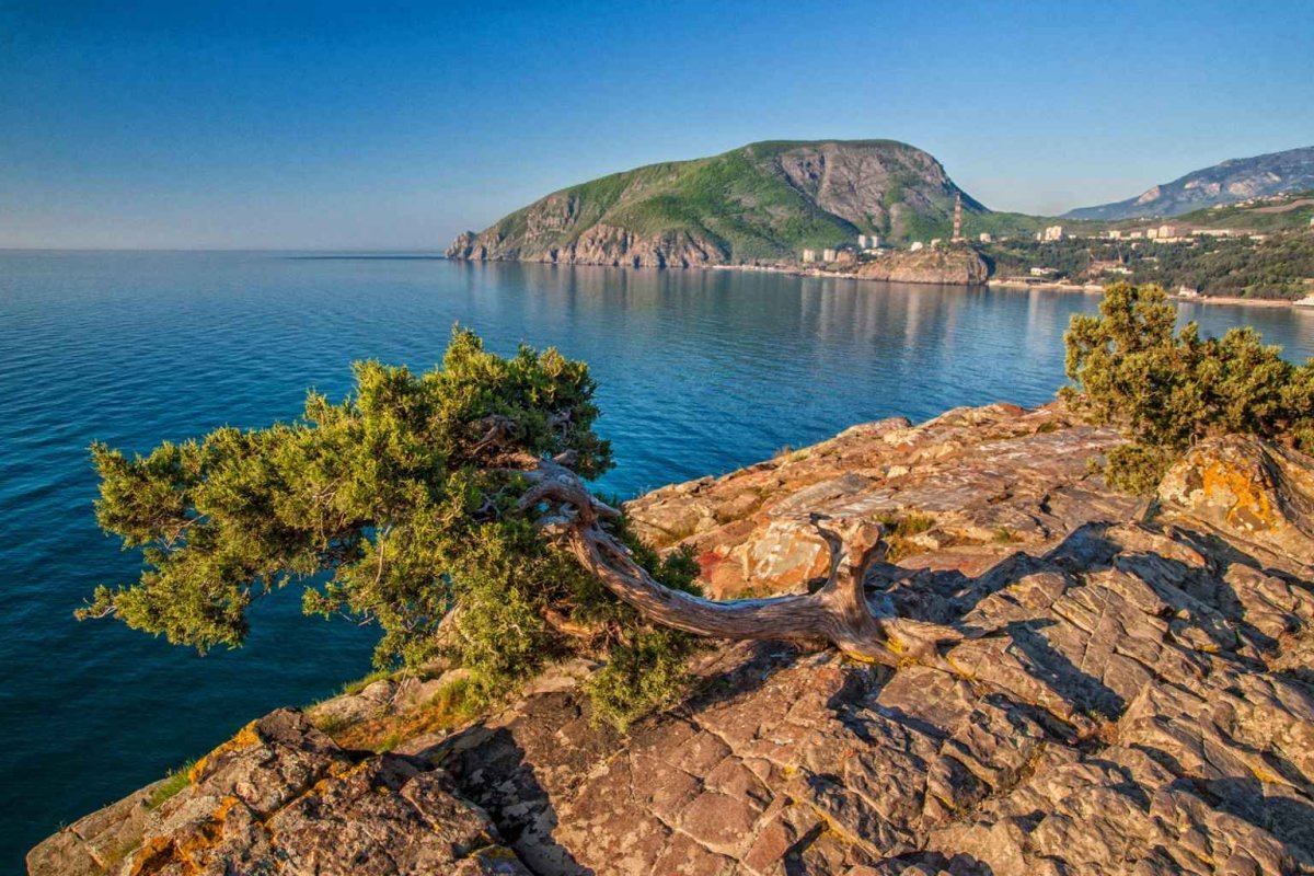 Севастополь медведь гора