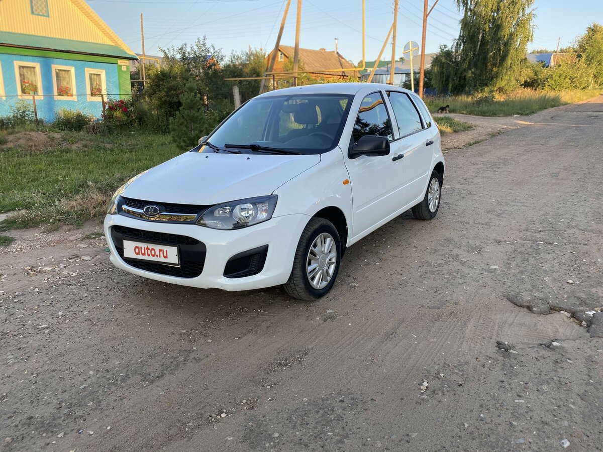 Калина авито