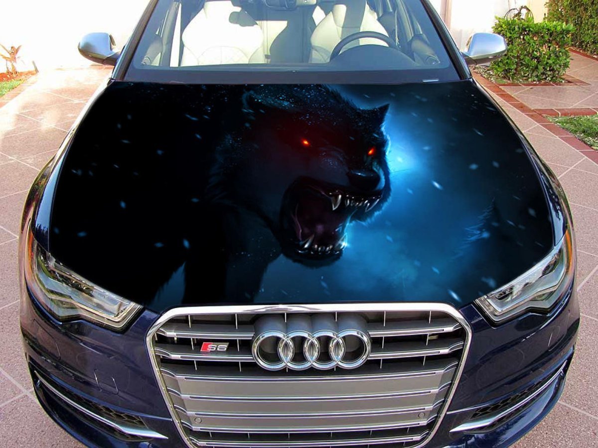 (Wolf's) car
