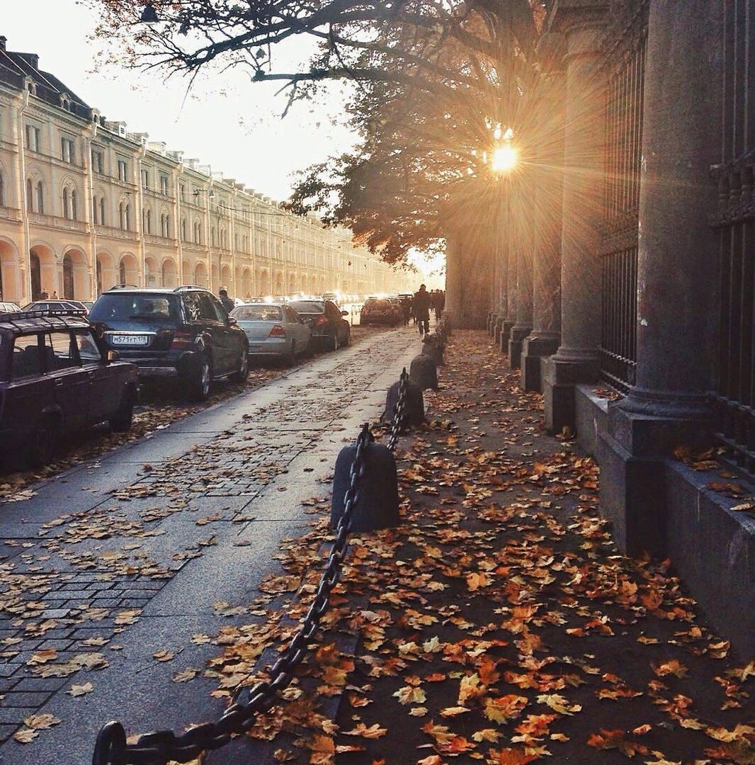 Осенний Питер Невский проспект