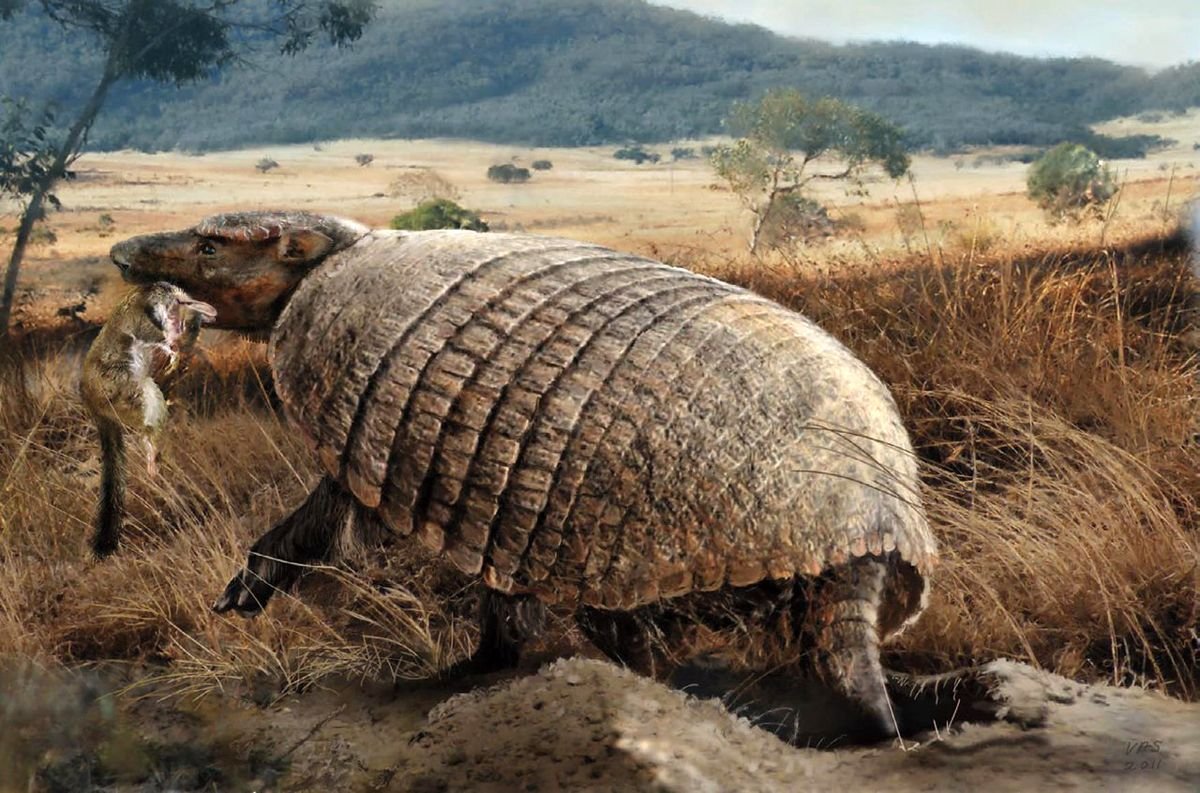 Вымершие броненосцы Южной Америки