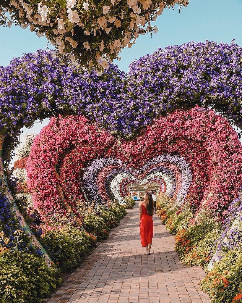Парк цветов Dubai Miracle Garden
