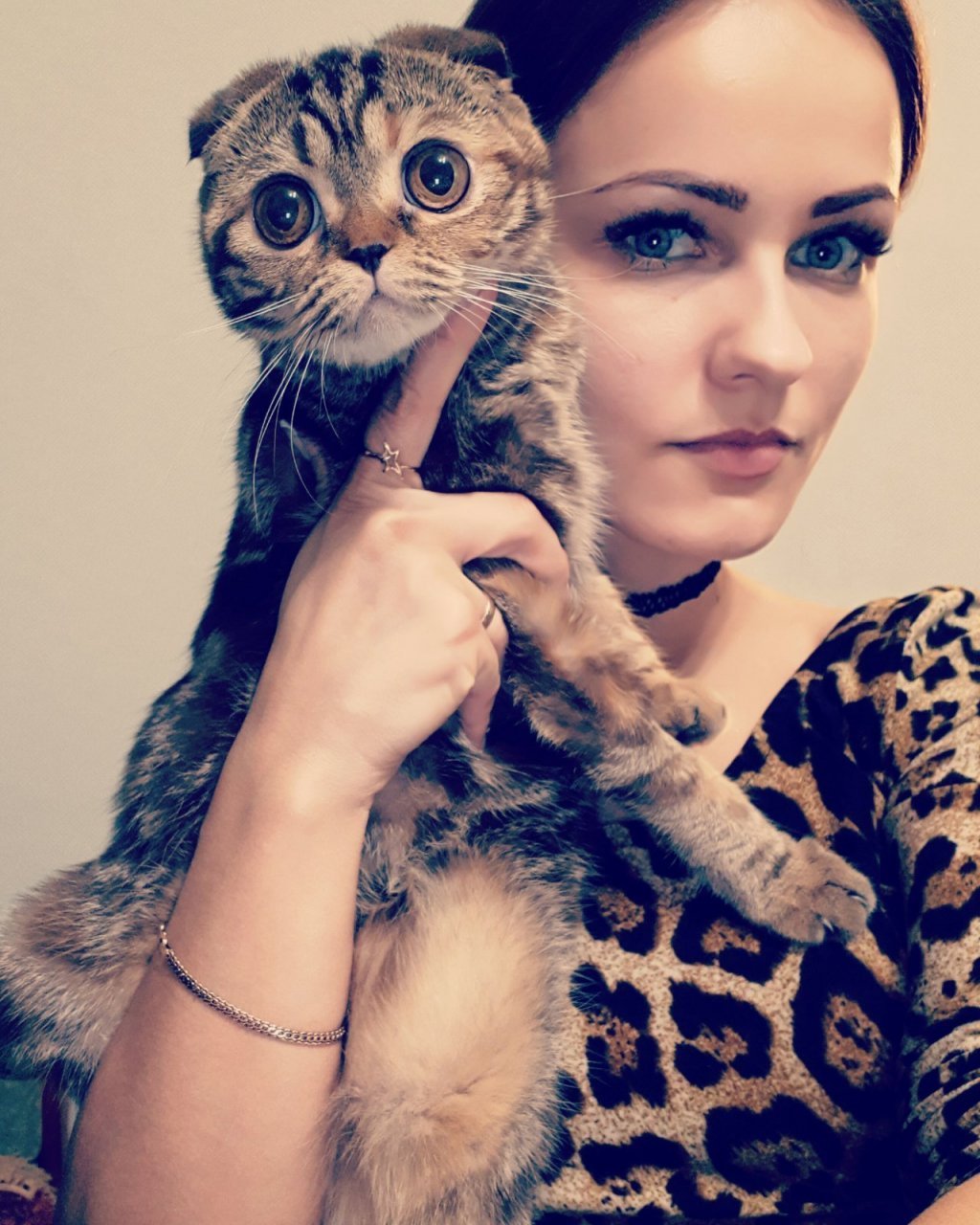 Кот в инстаграмме