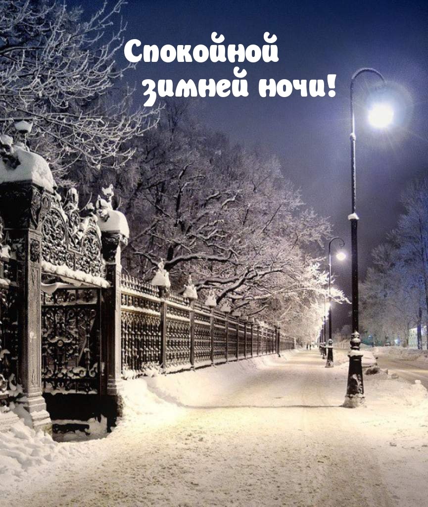 Зимний парк с фонарями
