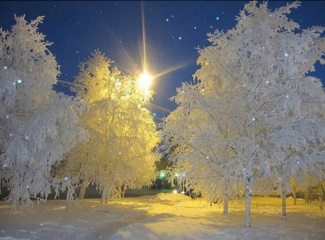 Солнечный зимний день