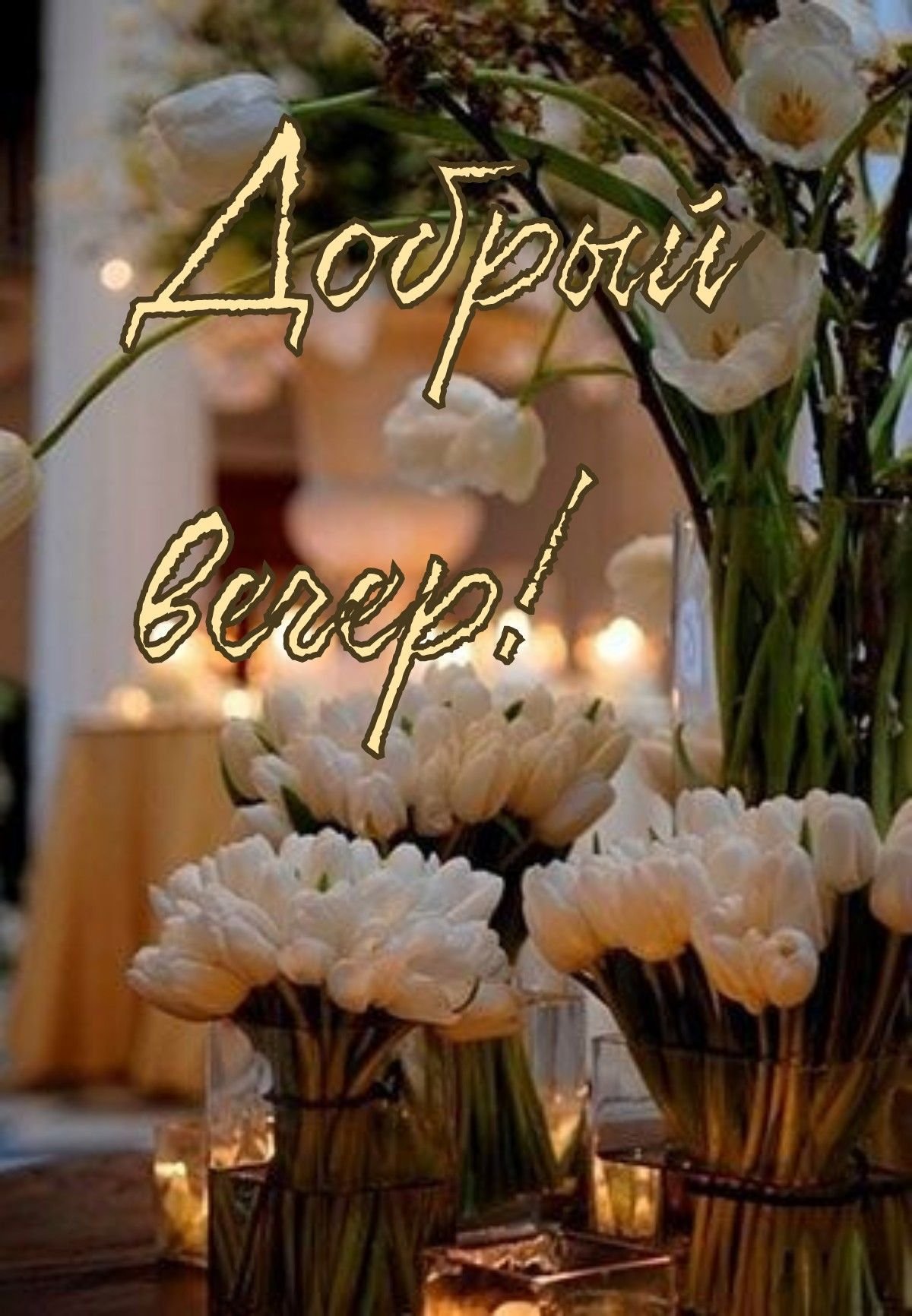 Уютного вечера с цветами