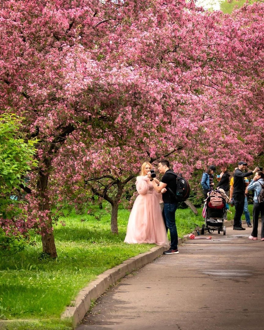 Екатерининский парк Москва весной