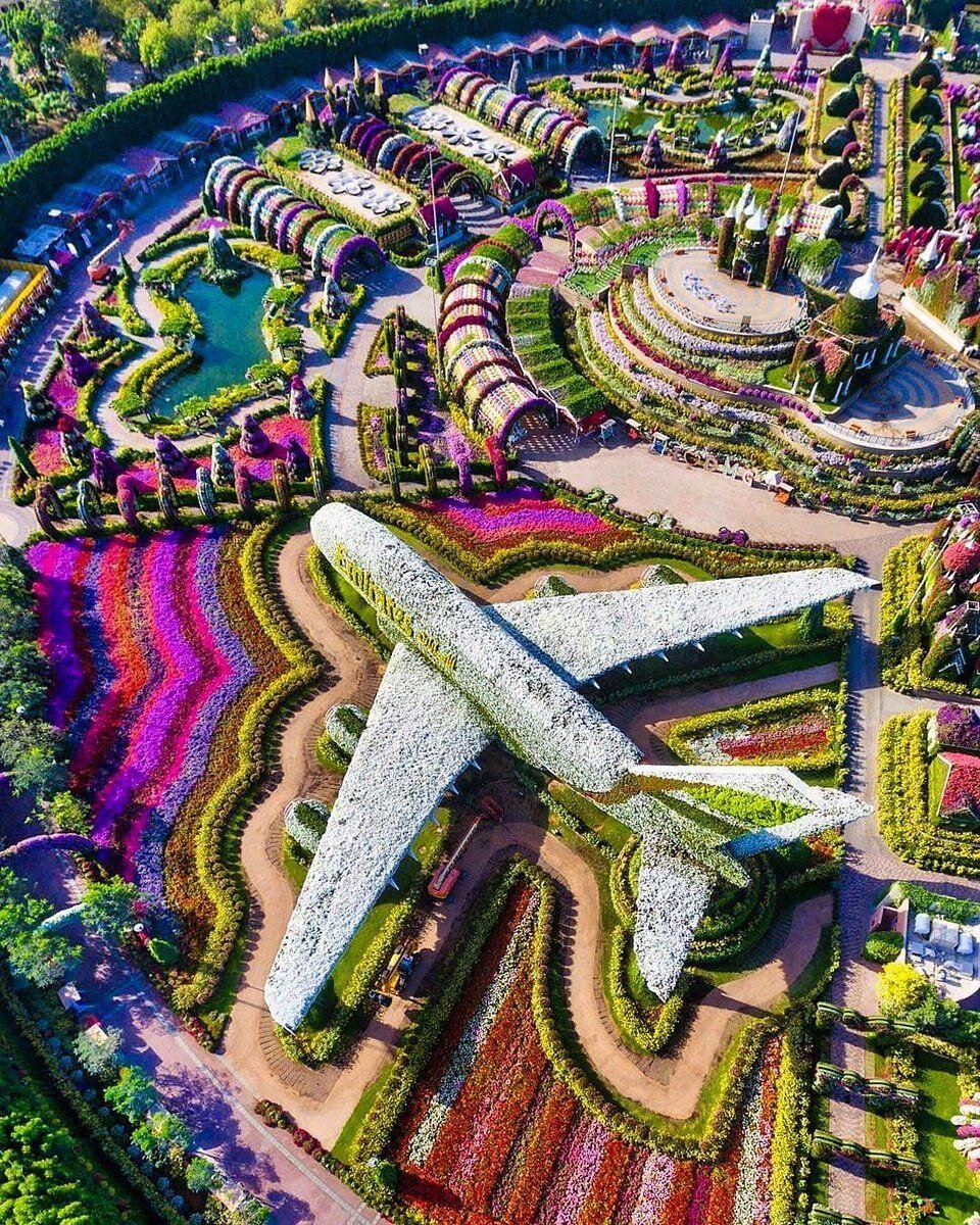Парк цветов в Дубае Dubai Miracle Garden