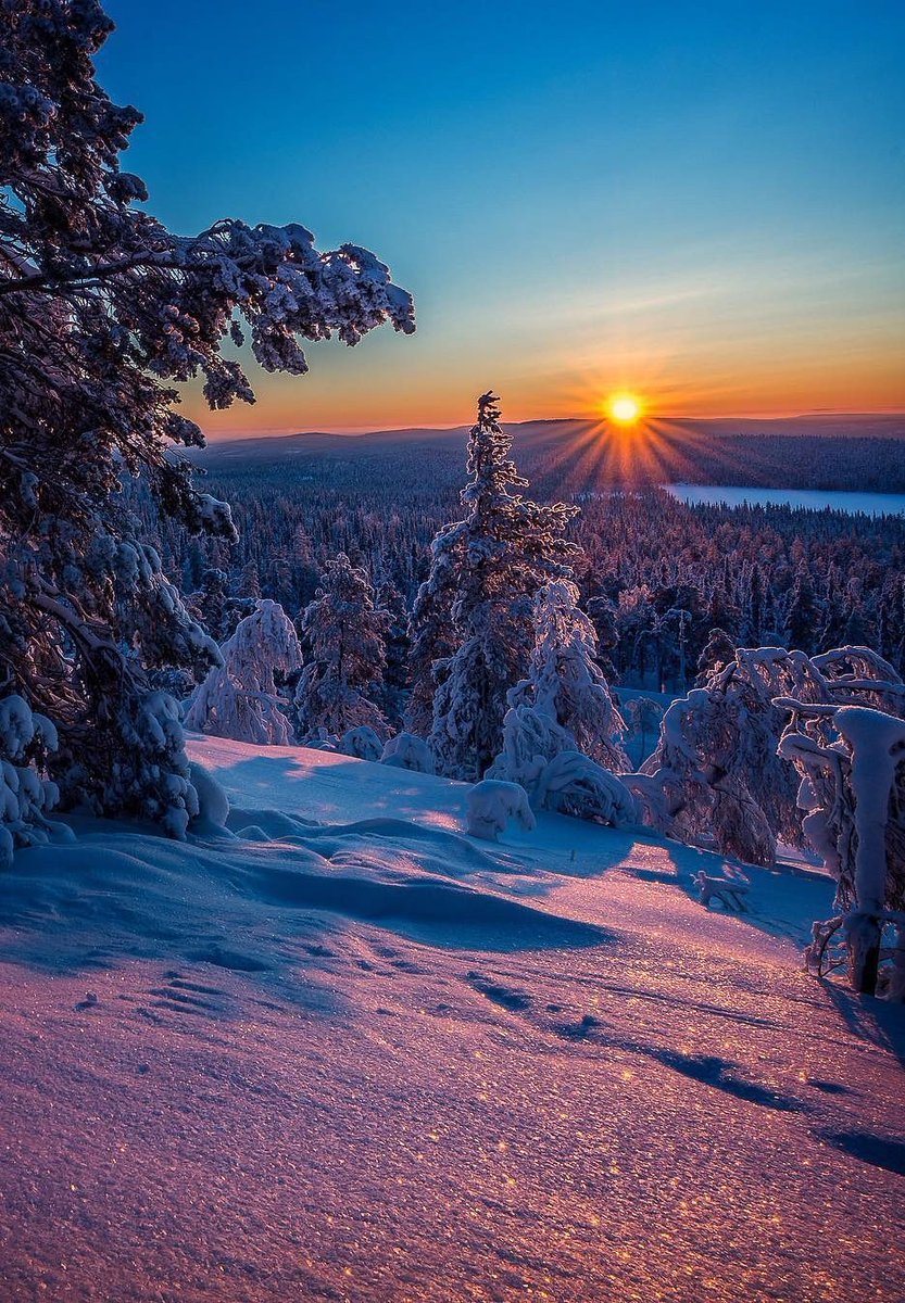 Красивая зима