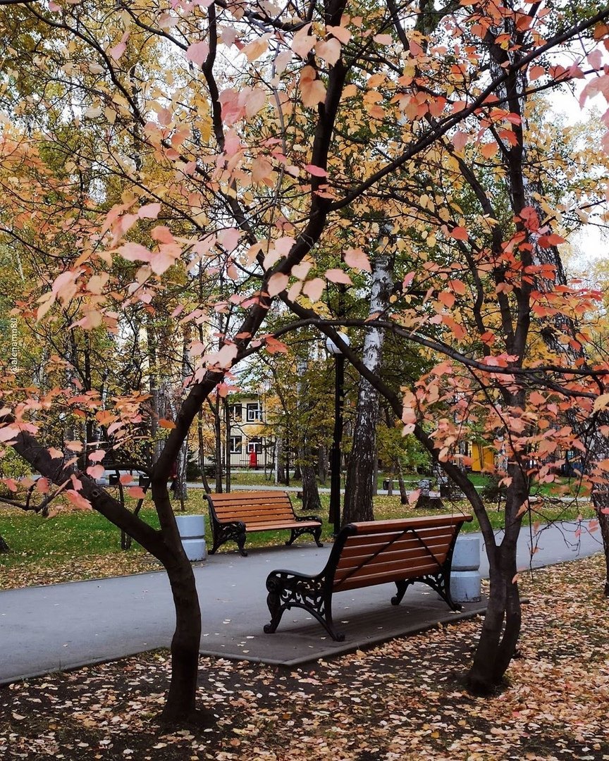 Аллеи Новосибирска
