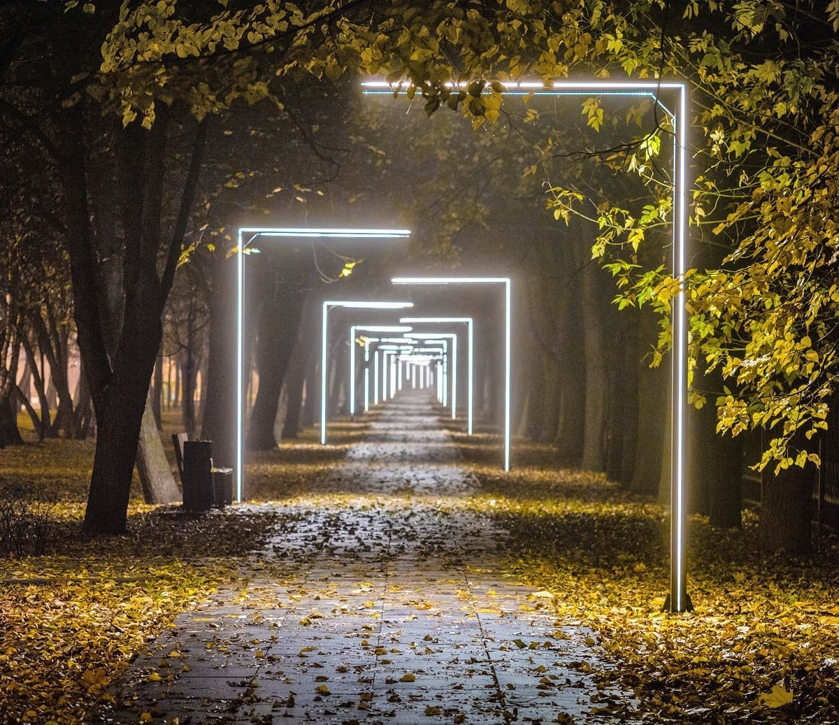 Парк Северное Тушино аллея
