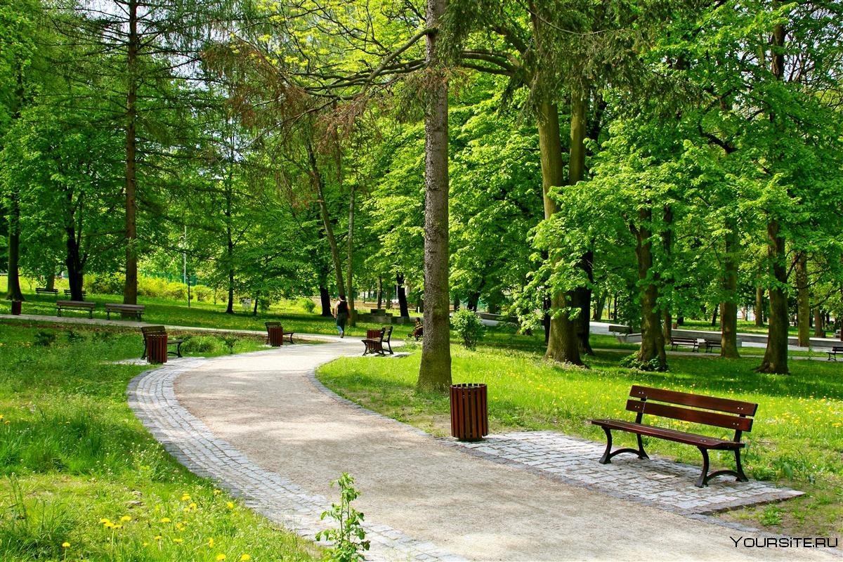 Парк «городской лесопарк».