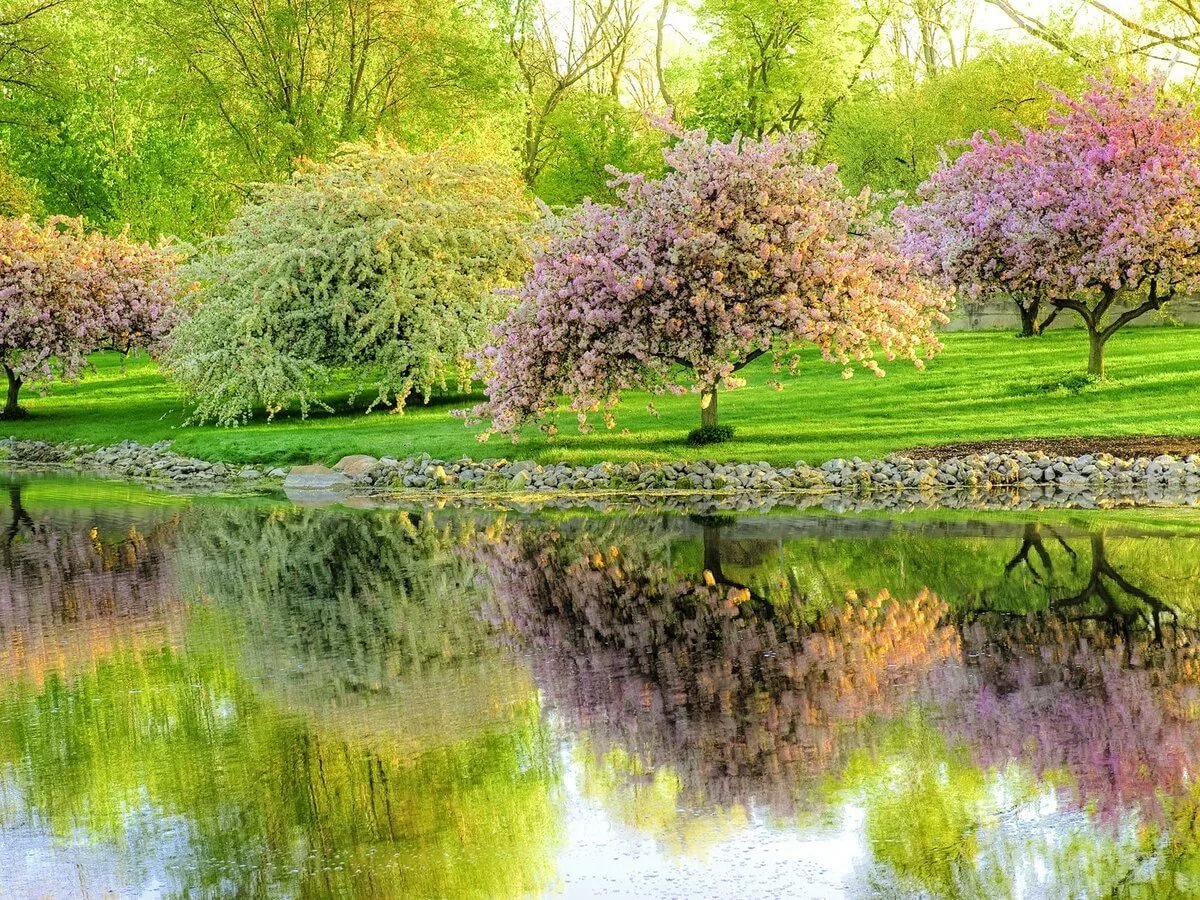 Красота весны