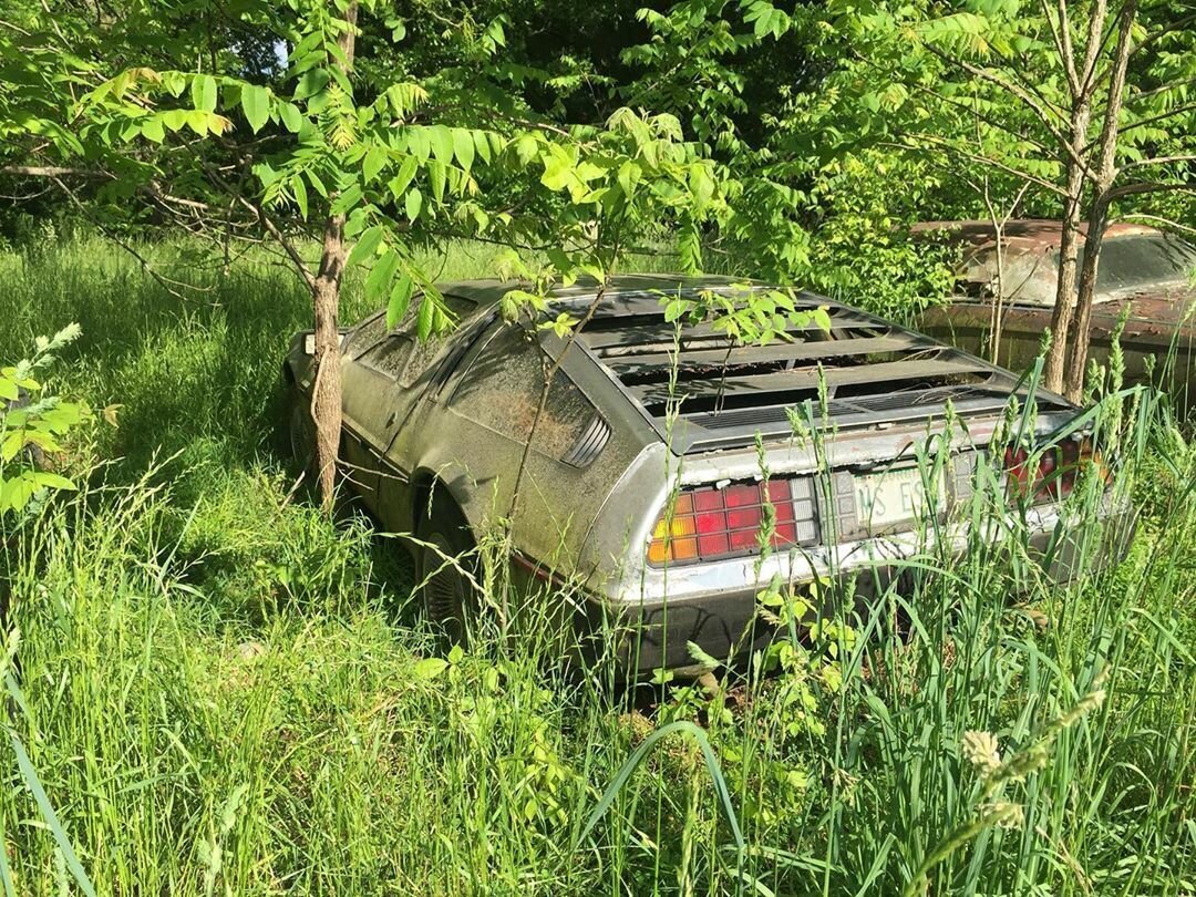 Брошенные автомобили в лесу