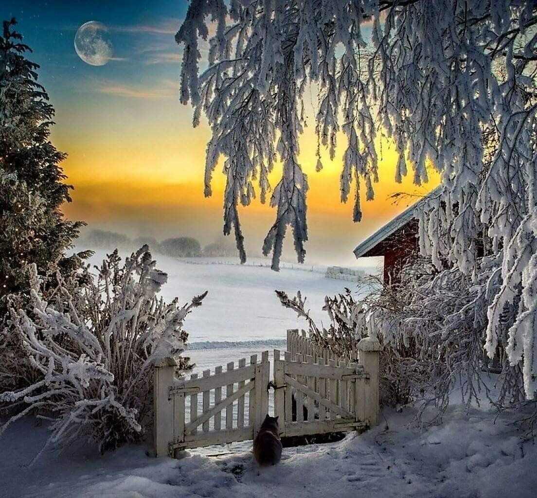 Необычные зимние пейзажи