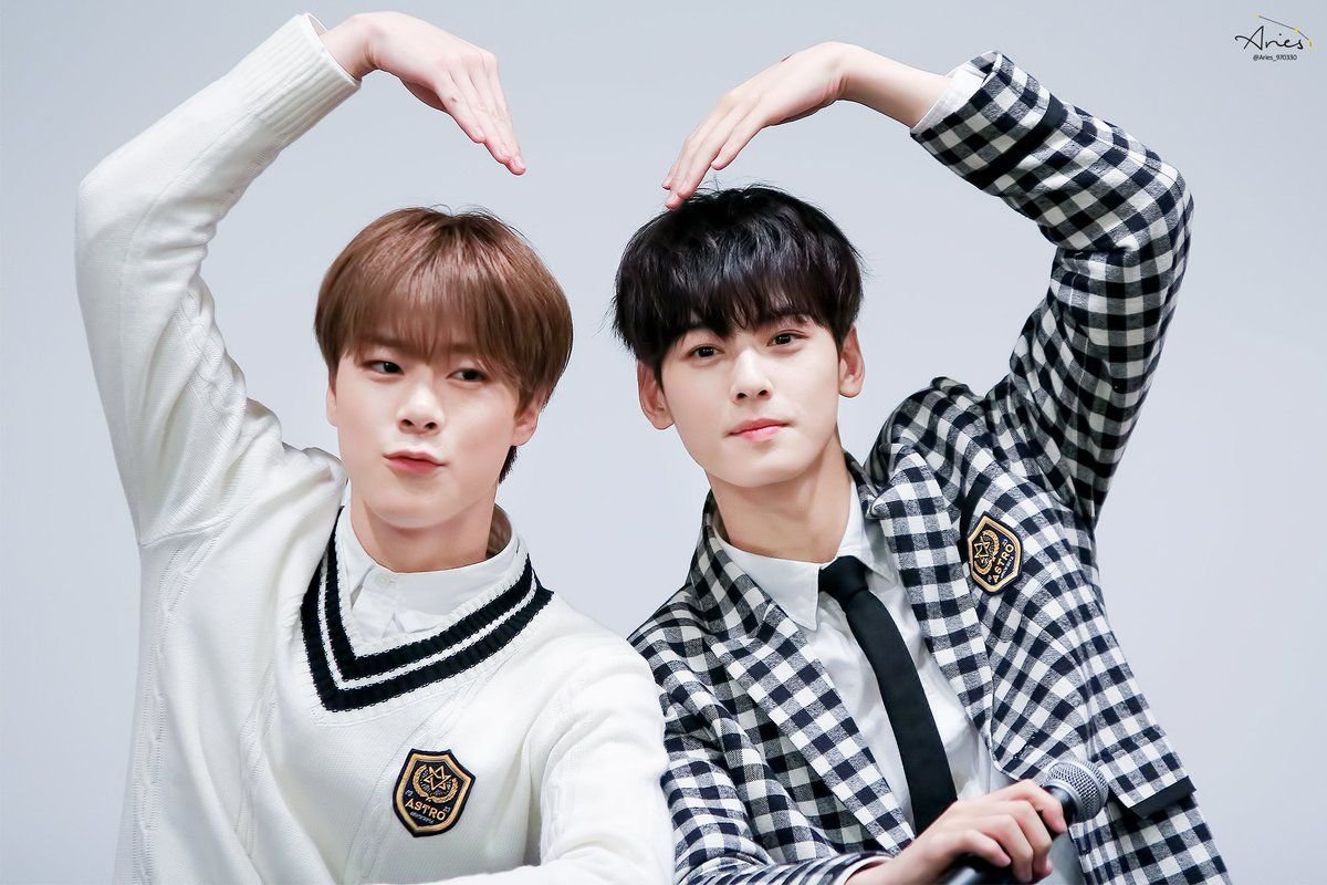 Cha Eun Woo Group