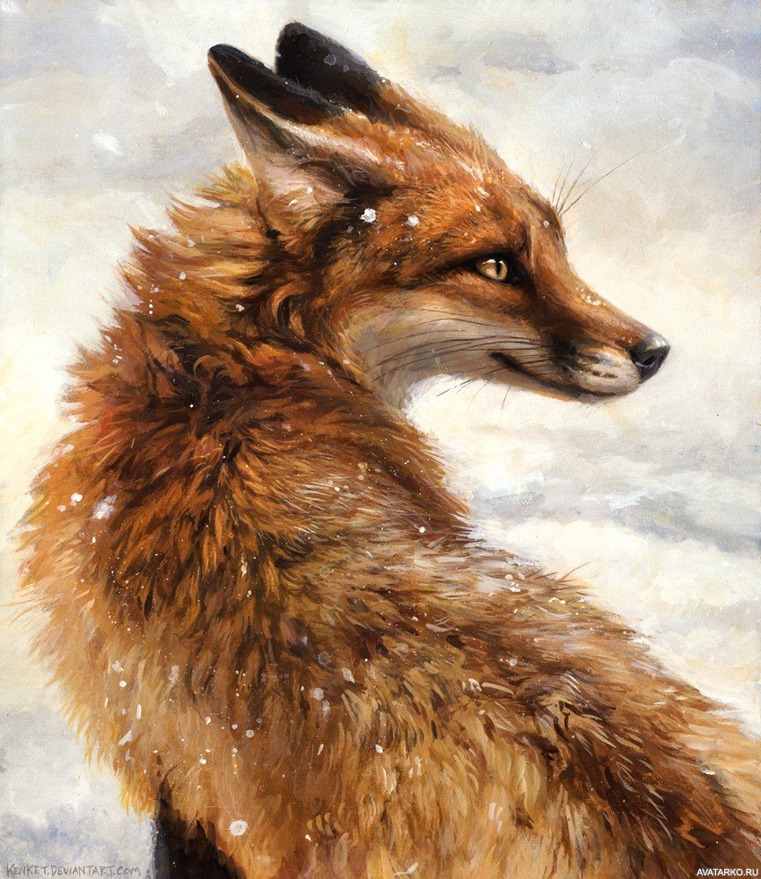 Kenket Fox
