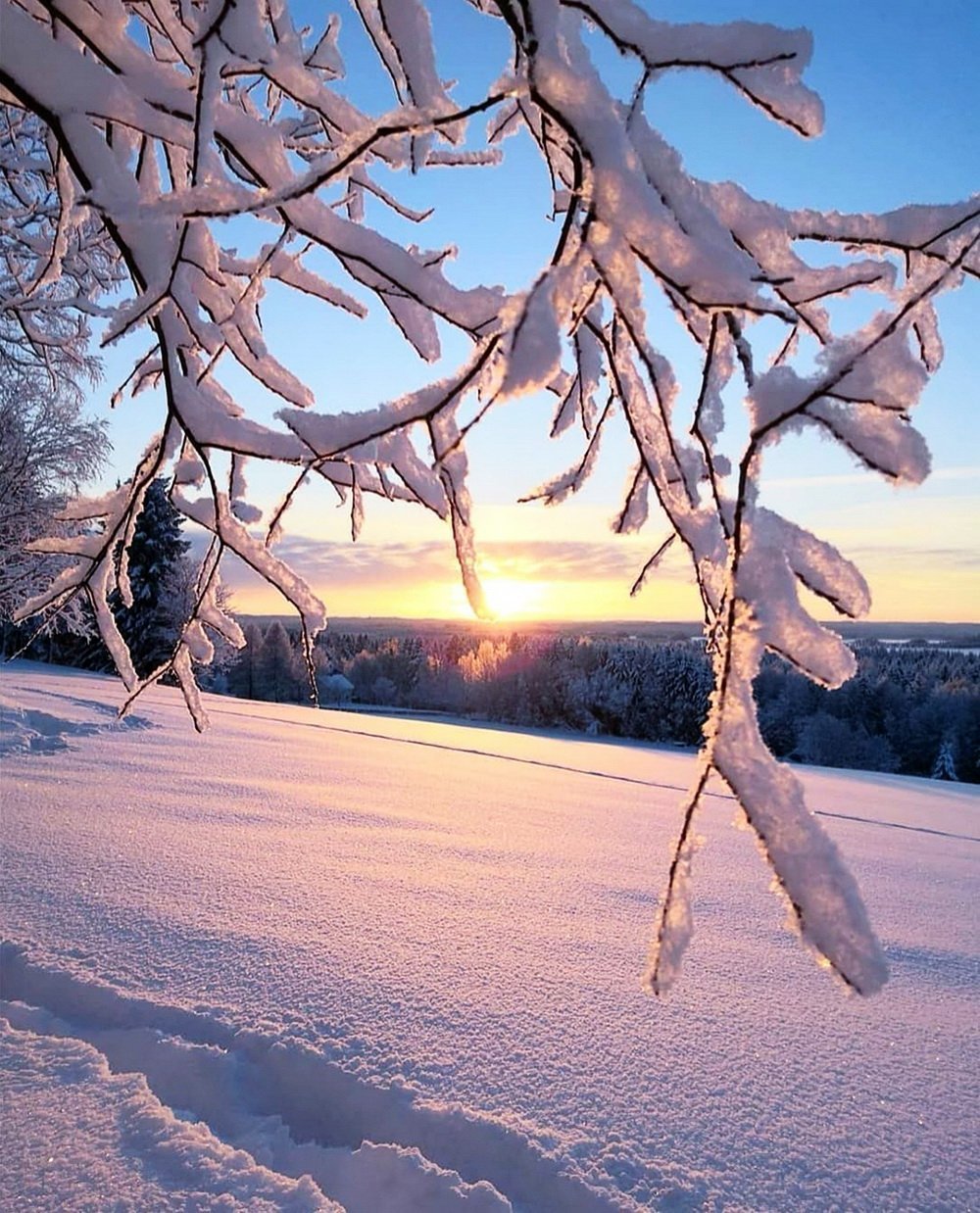 Зимняя природа для инстаграма