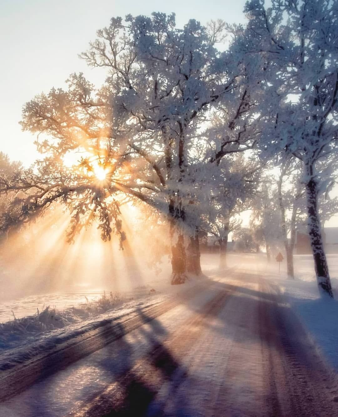 Зима солнце