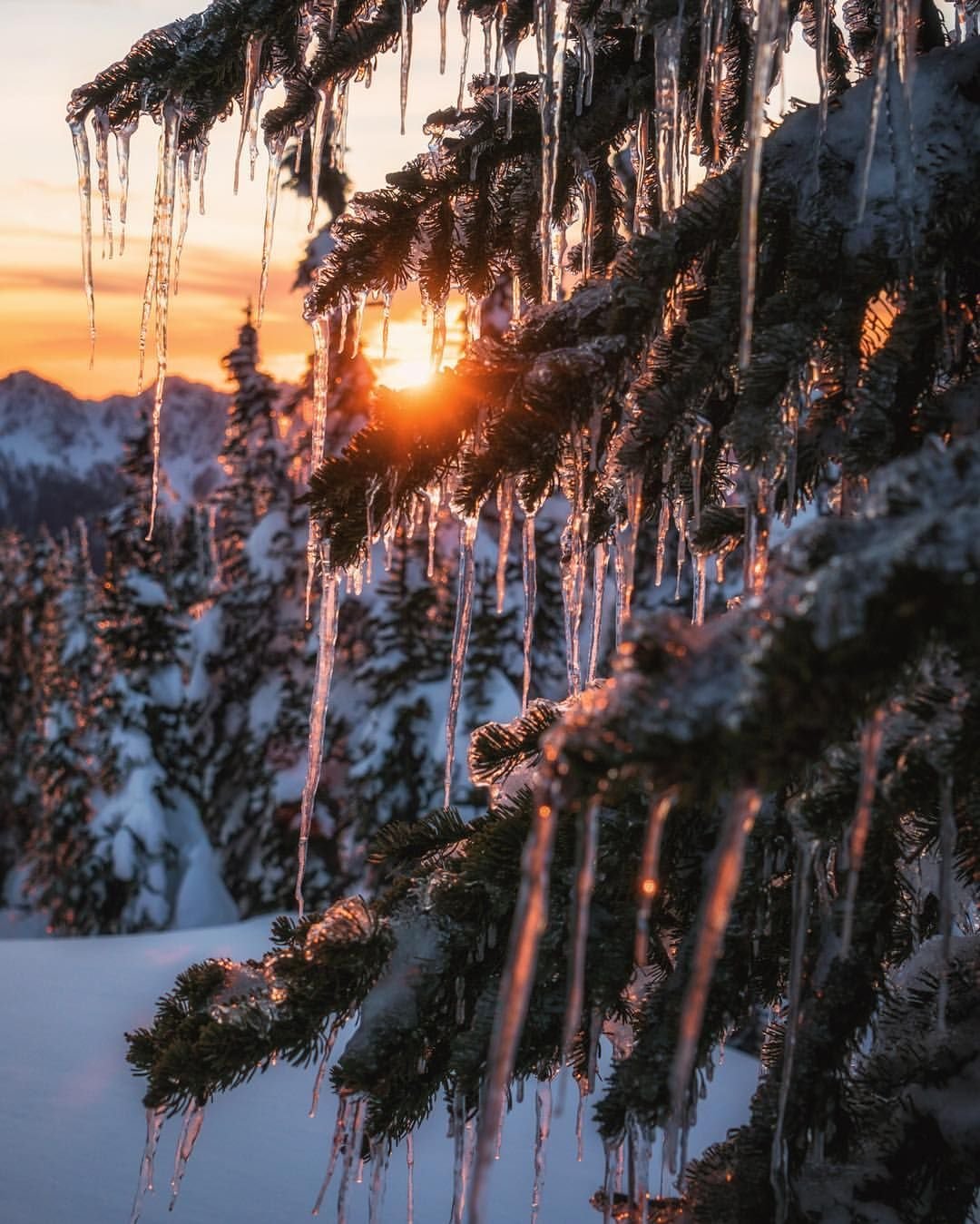 Зимняя природа для инстаграмма