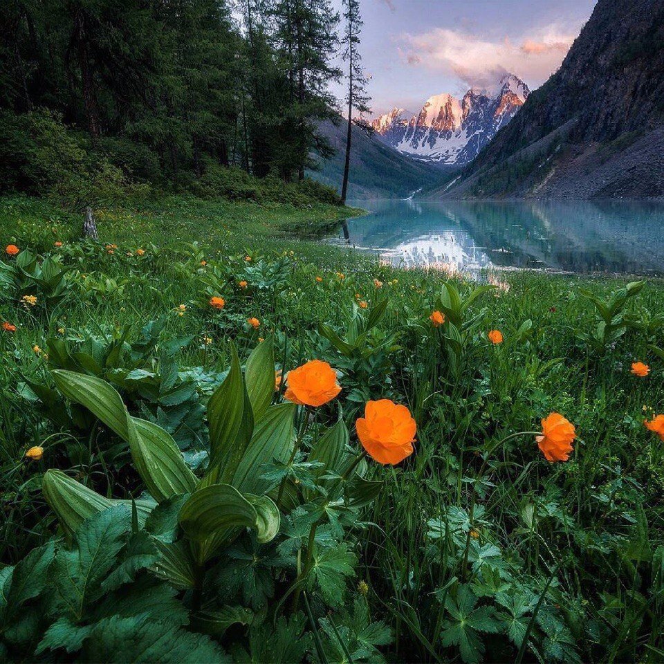 Красивая природа России