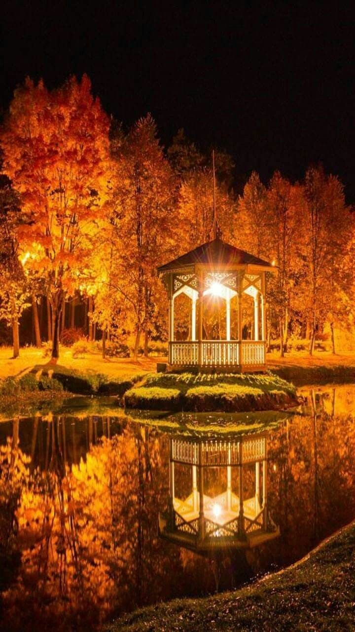 Осенняя ночь
