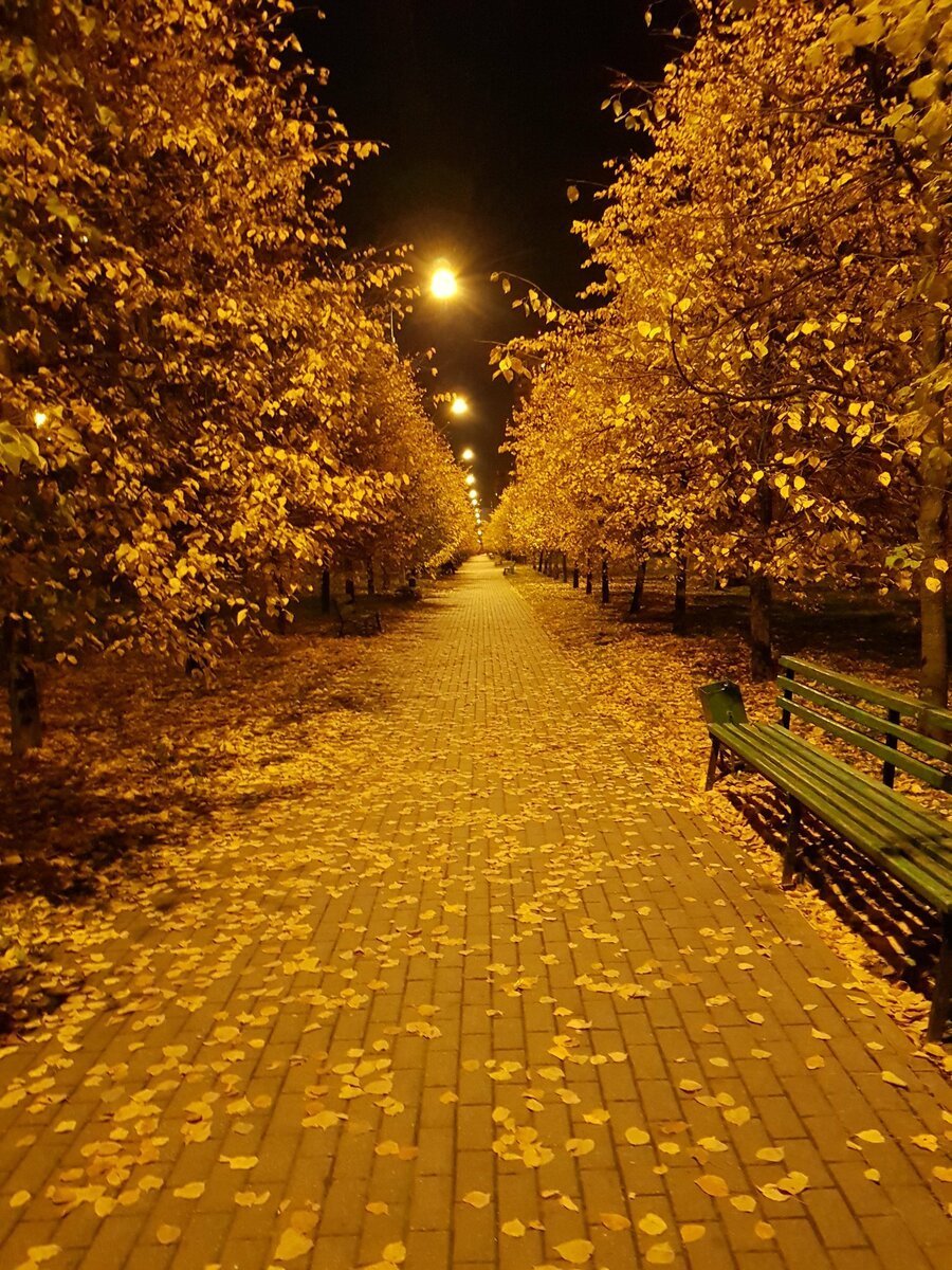 Осенний парк