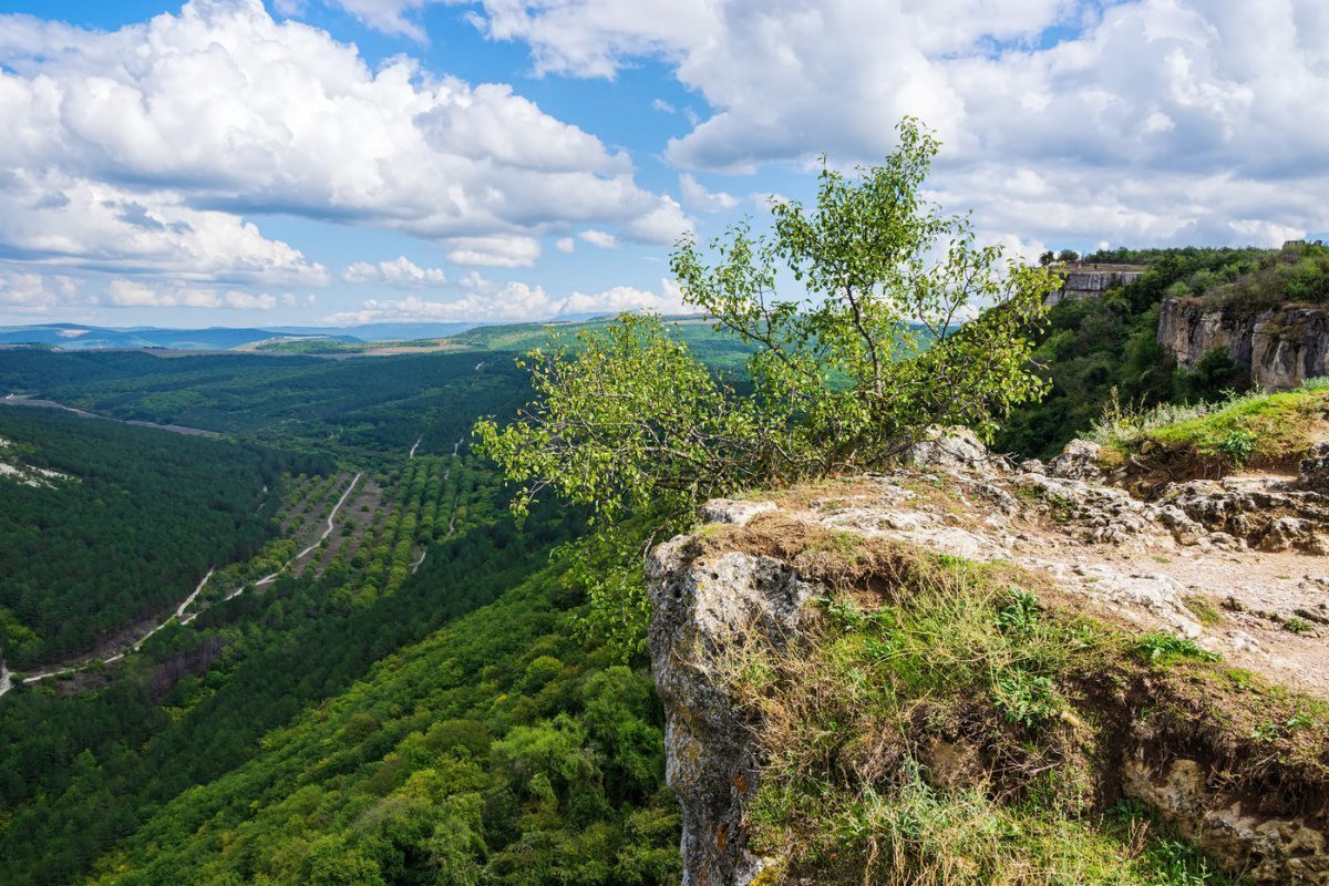 Бахчисарай Бельбекская Долина