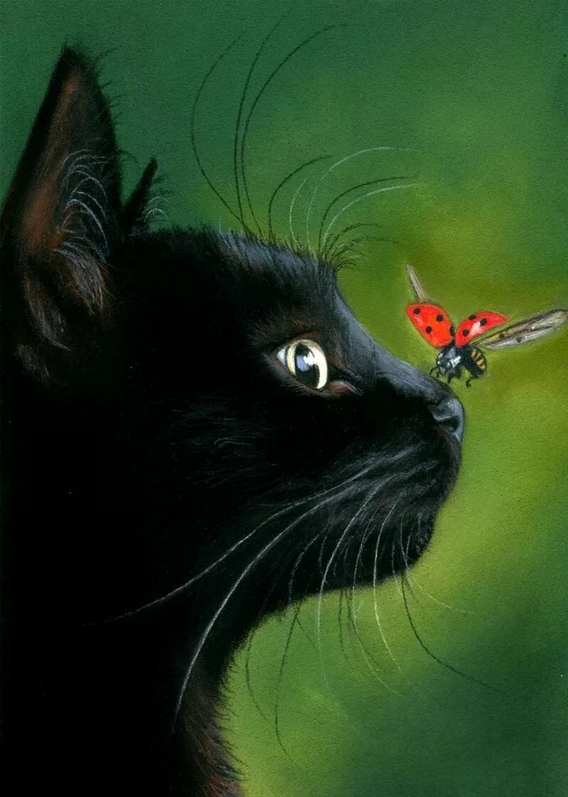 Красивая черная кошка