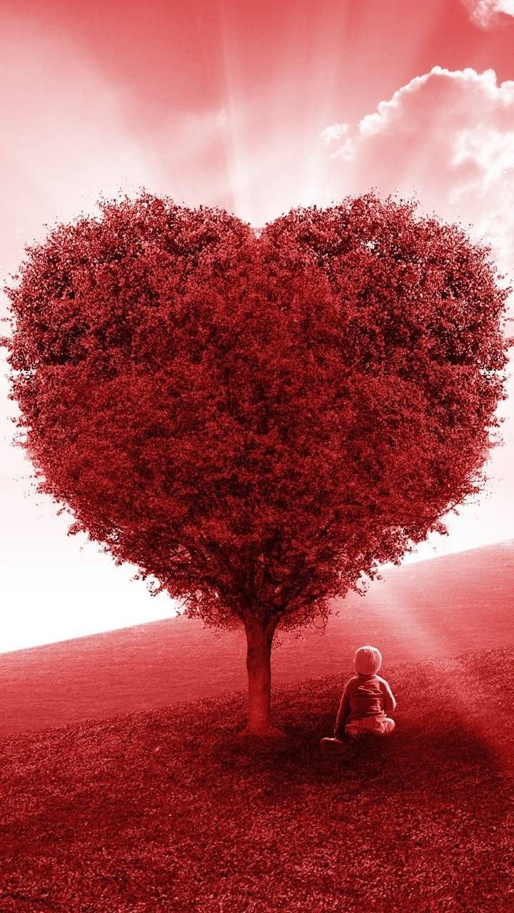Сердце любовь