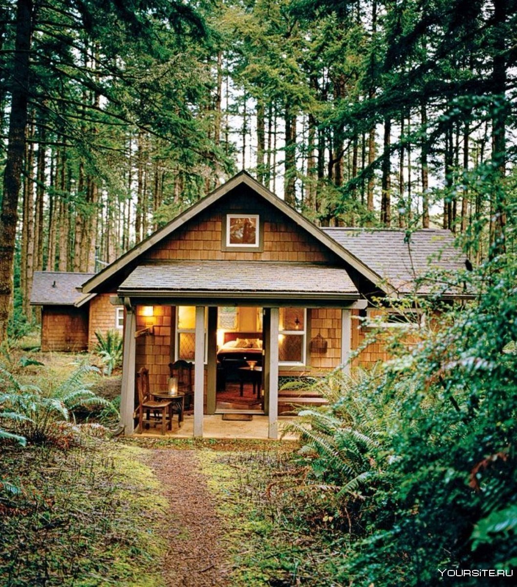 Forest House Хижина в лесу