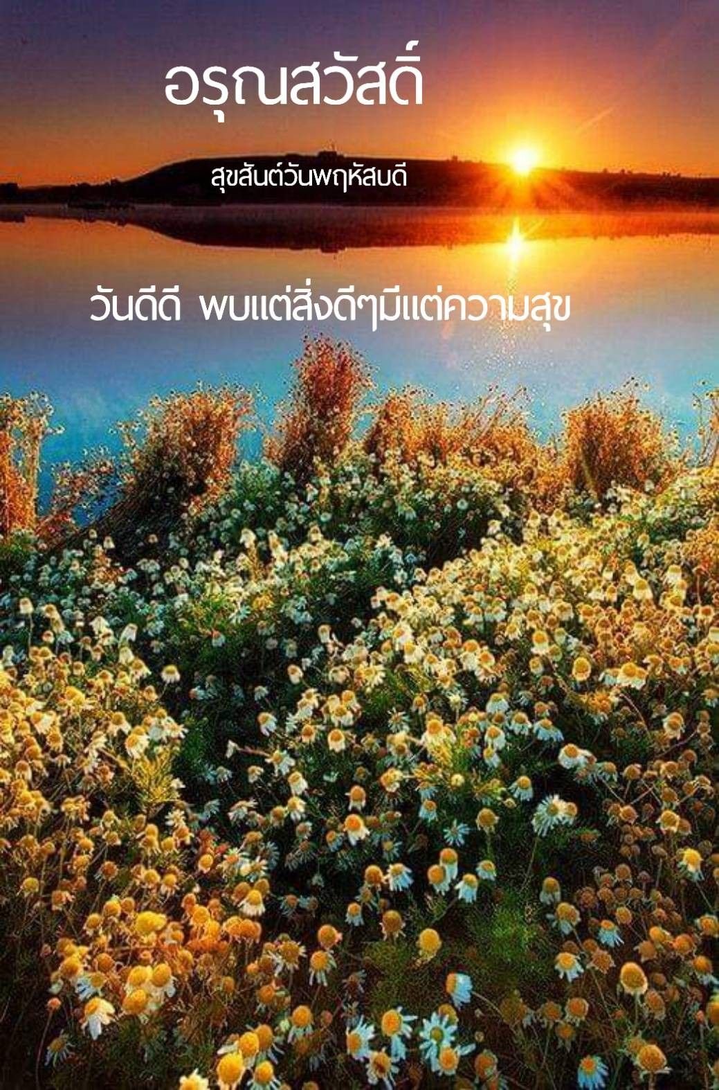 Природа солнце