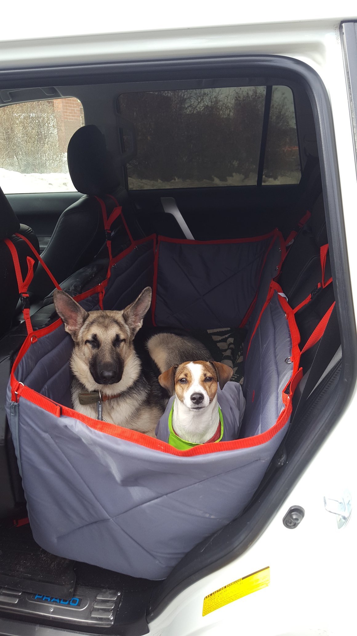 Автогамак Milopets
