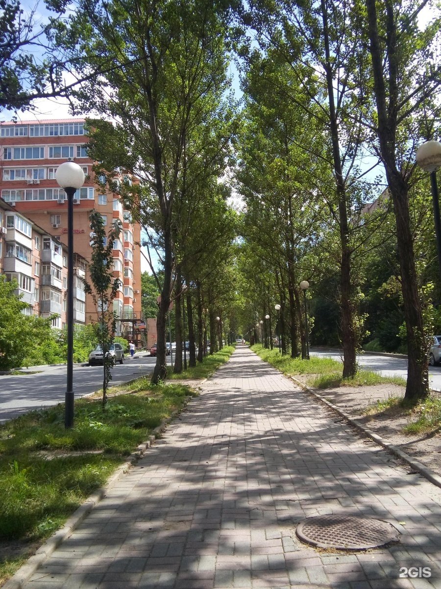 Тополиная аллея Иркутск