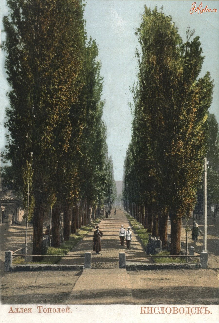 Кисловодск аллея тополей